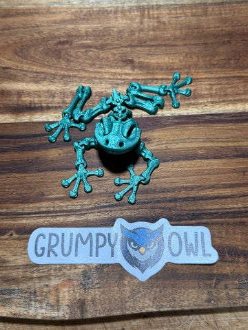 Frog Skeleton