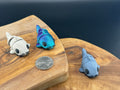 Three small fidget catfishes  on a wooden surface with a coin for scale.