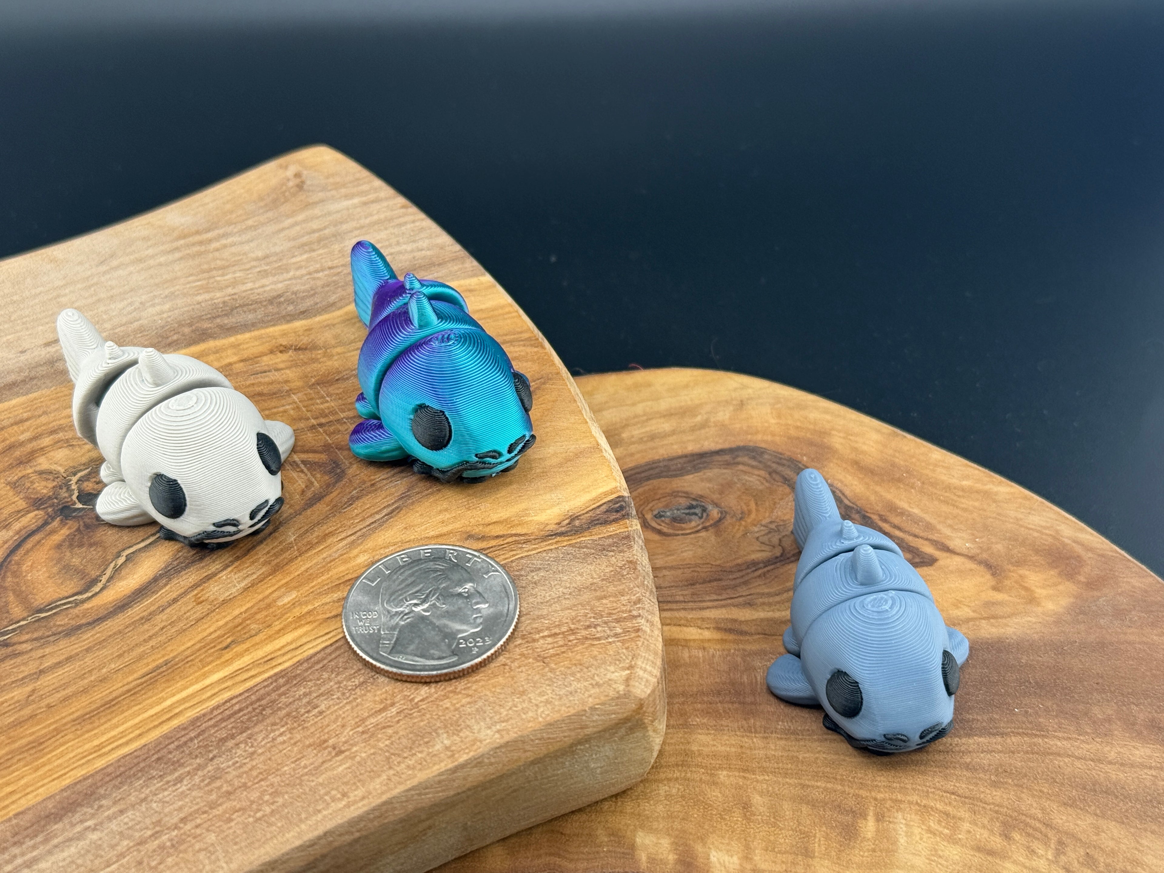 Three small fidget catfishes  on a wooden surface with a coin for scale.
