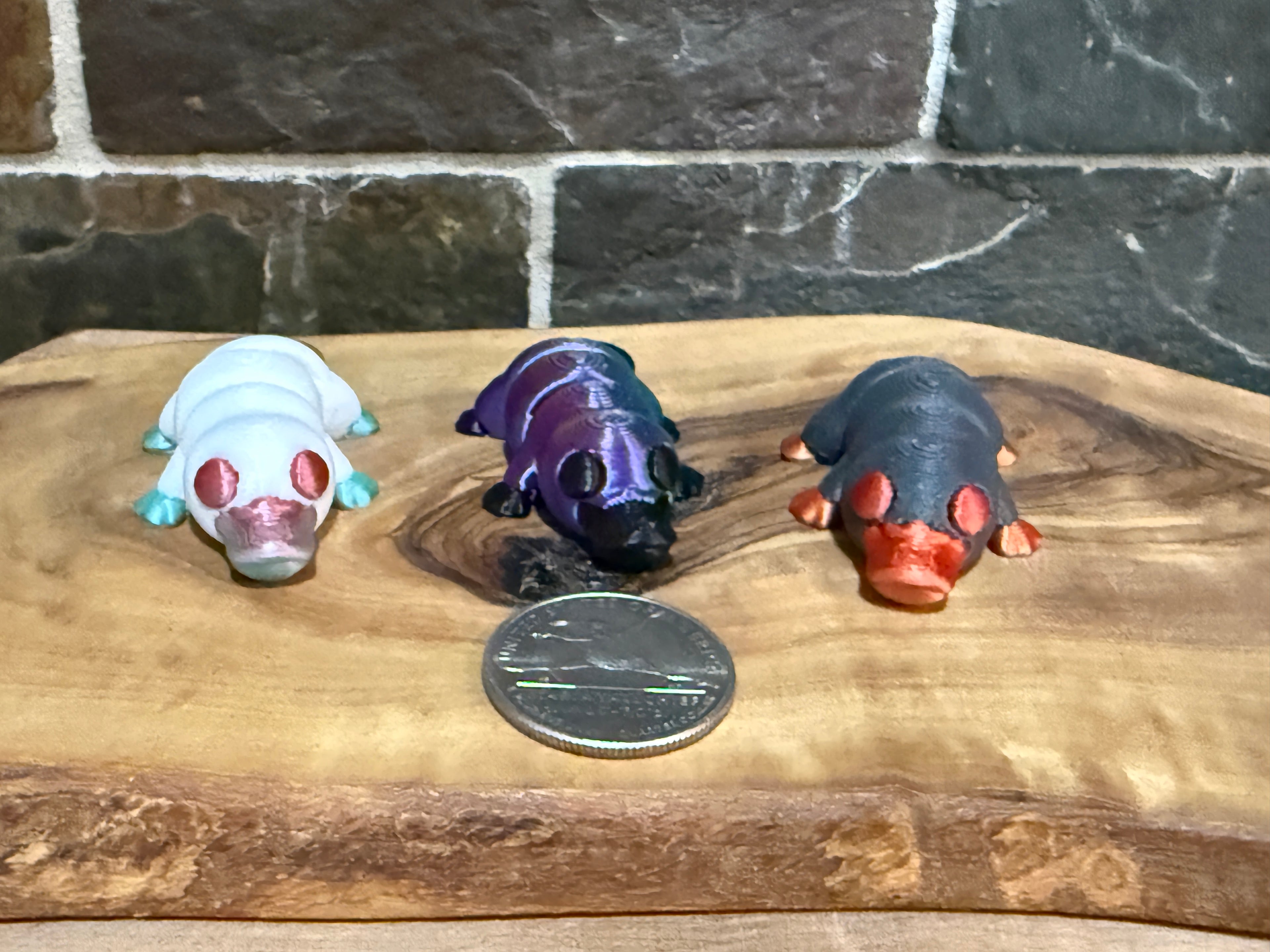Three small fidget platypus  on a wooden surface with a coin for scale.